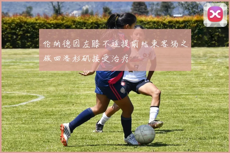 伦纳德因左膝不适提前结束客场之旅回洛杉矶接受治疗