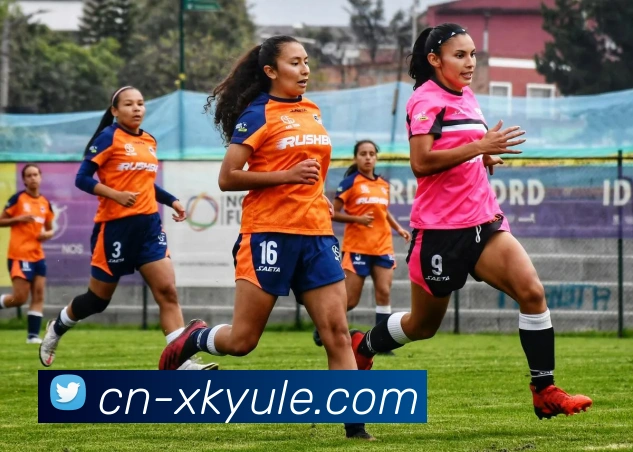 星空体育服务体系